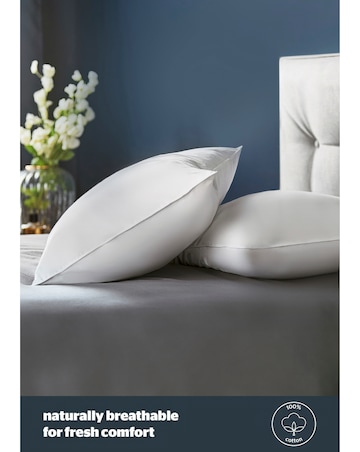 Silentnight 4 Pack Duck Feather & Down Anti-Allergy Pillows