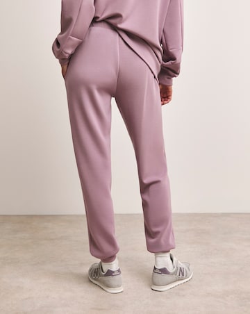 Anthology Elderberry Cuffed Joggers