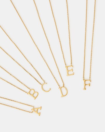 Accessorize SS Initial Pendant Necklace