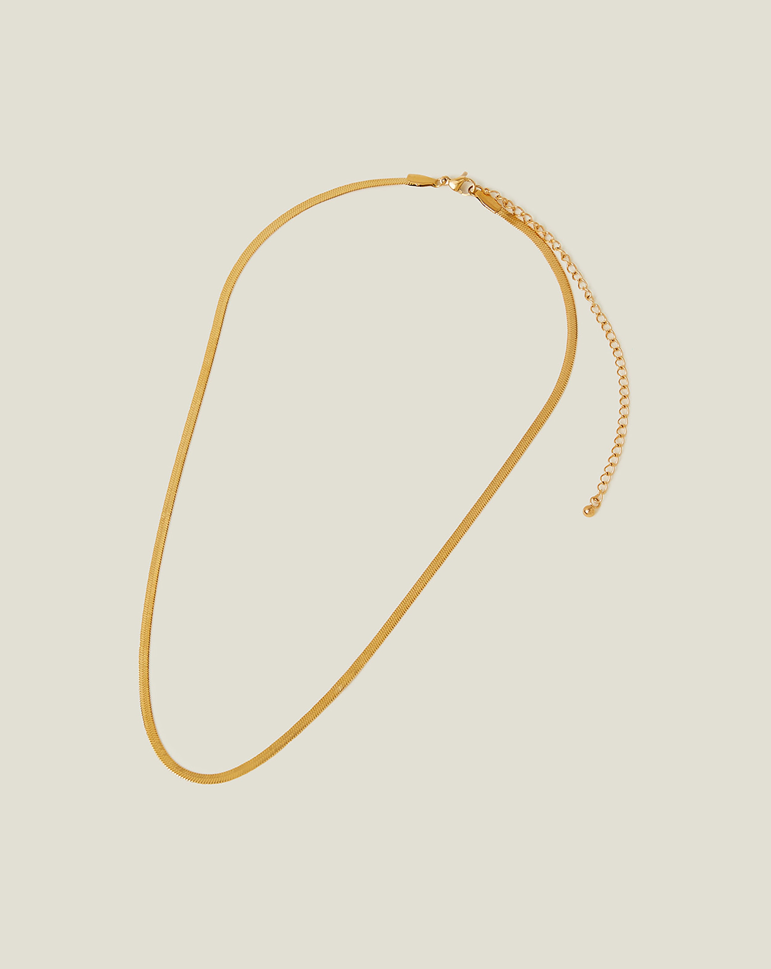 New In - Accessorize Omega Chain Necklace