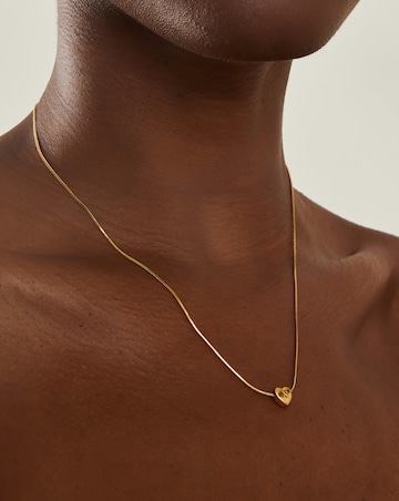 Accessorize SS Heart Necklace