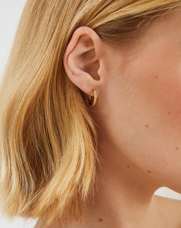 Accessorize Gold-Plated Hoop Earrings