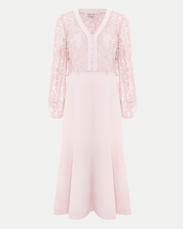 Phase Eight Ayumi Lace Top Dress